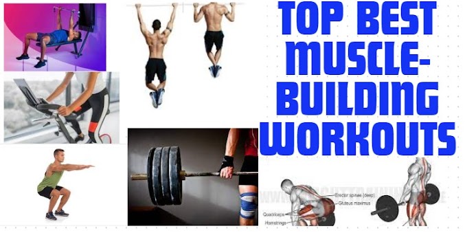 Top Best Muscle-Building Workouts