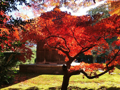  長壽寺