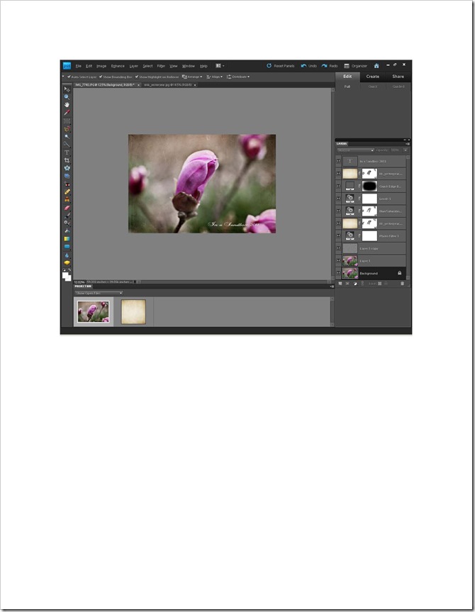 magnolia edit