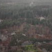 View album