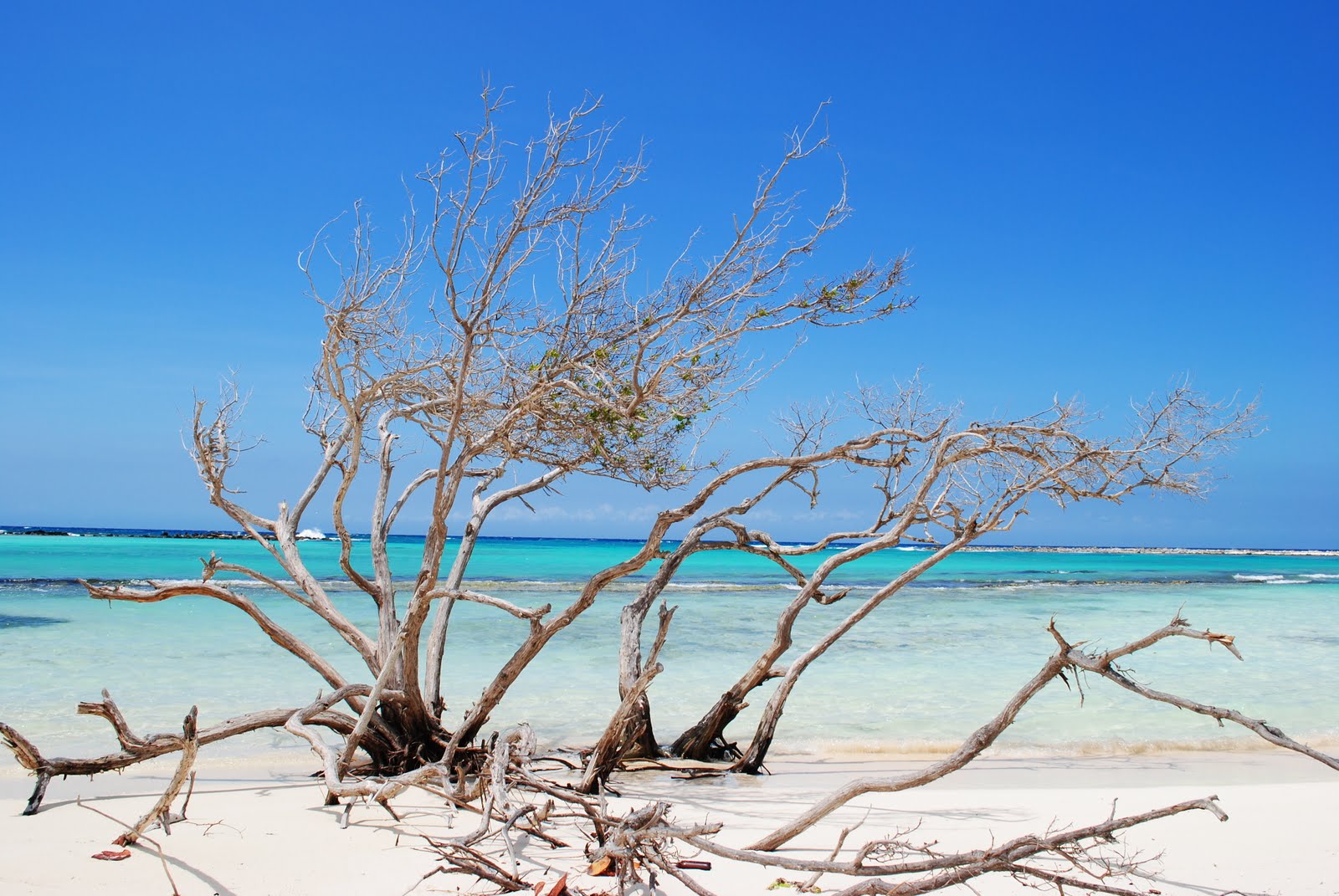 Baby Beach, Aruba.