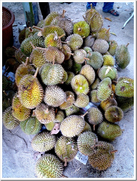 P1480701-1