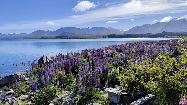 Tekapo Lake