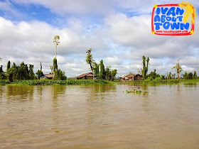 Agusan Marsh Wildlife Sanctuary