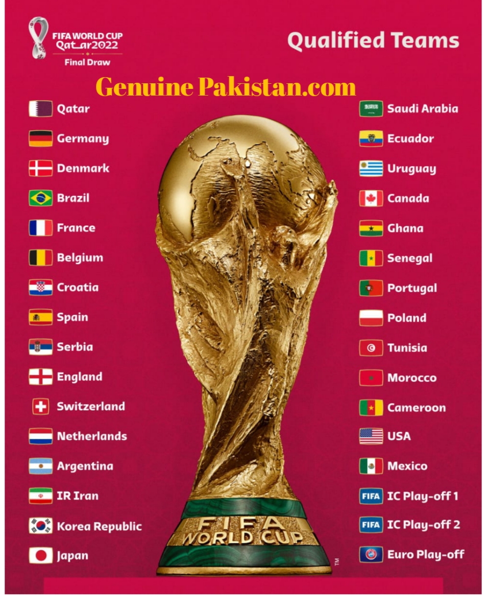 FIFA world cup new 2022