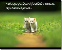 image016161641616