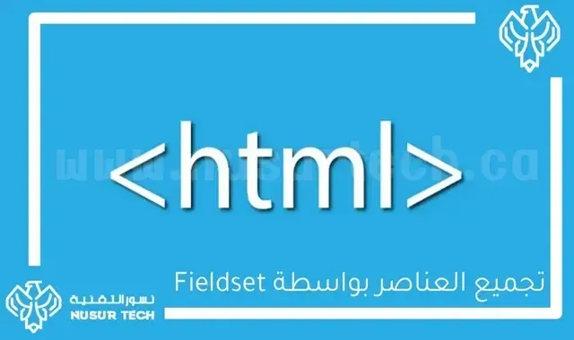 تجميع العناصر بواسطة Fieldset في HTML