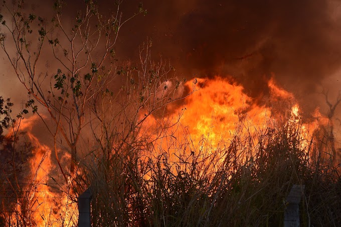 Incêndio na Mata do Catingueiro: um reflexo do subdesenvolvimento  