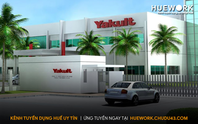 tuyển dụng huế, tuyen dung hue, việc làm huế, viec lam hue, huework, hue work