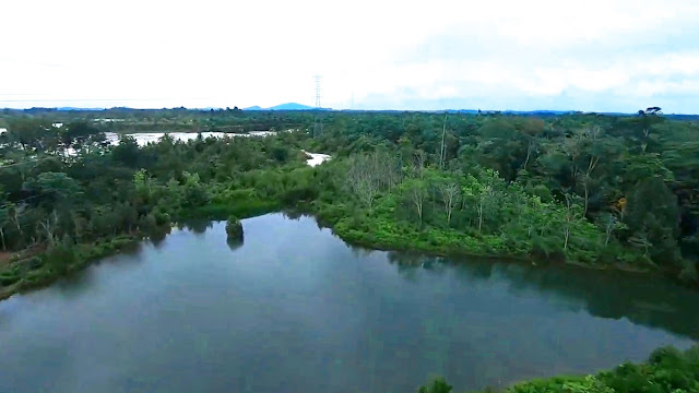 Spot Pemancingan Ikan Nila Babon di  Danau Belibis Tayan