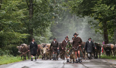 Bavarian Tradition Herdsmen