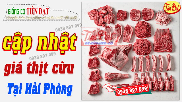 Cập nhật giá thịt cừu sạch tại Hải Phòng