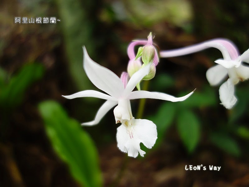 blog_028