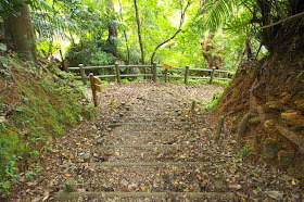 trail,stairs,fenceposts