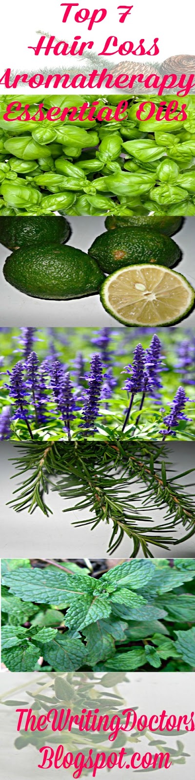 Top 7 Aromatherapy Essential Oils for Hair Loss