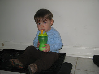 sitting in the shoe tray, drinking milk