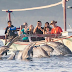 Paket Tour Wisata Bedugul dan Lihat Lumba-Lumba di Pantai Lovina