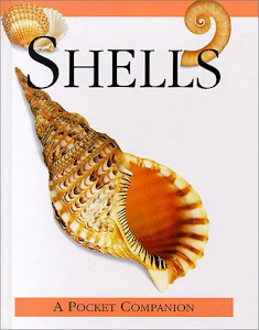 Shells