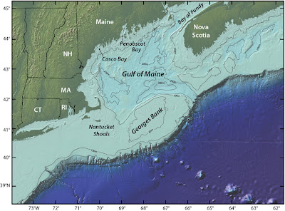 An elevated area of the sea floor between Cape Cod and Nova Scotia, Georges Bank is one of the best fishing grounds on Earth. For decades scientists speculated the blooms on Georges Bank were fueled by coastal blooms in the Gulf of Maine, but new research suggests the population of toxin-producing algae on Georges Bank occupies a distinct niche. Credit:Jack Cook, Woods Hole Oceanographic Institution 