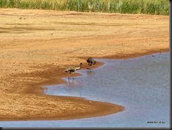 180317 080 Cobar Newey Reservoir