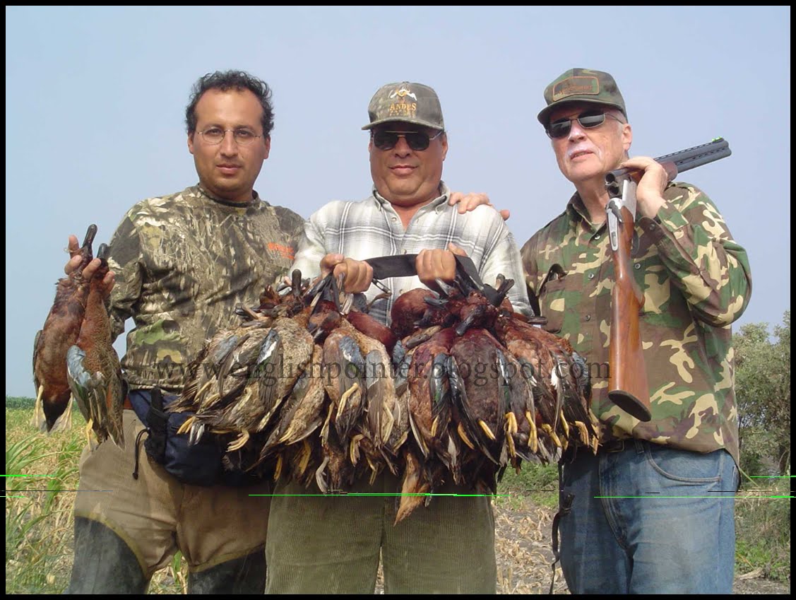 CAZA DE PATOS ARGENTINA - CAÇA DE MARRECOS NA ARGENTINA