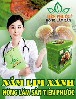 Nấm lim xanh điều trị bệnh gout hiệu quả