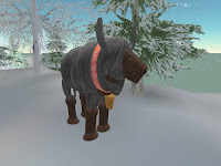 second life animal pictures - Tibetan Yak