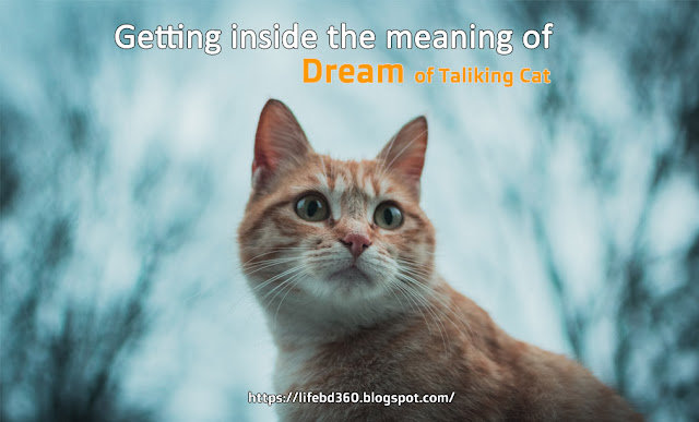 The Meaning, Symbolism & Interpretation of Dream of a Talking Cat