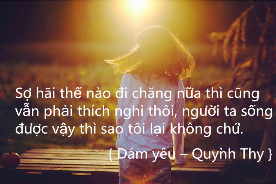 Những câu nói hay trong tiểu thuyết và phim