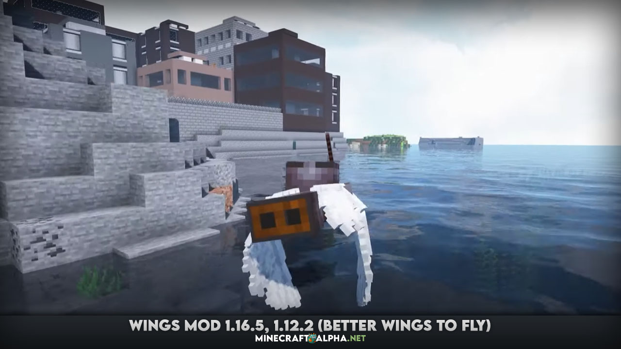 Wings Mod 1.16.5, 1.12.2 (Better Wings to Fly)