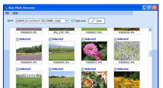 Easy Photo Recovery 2.8