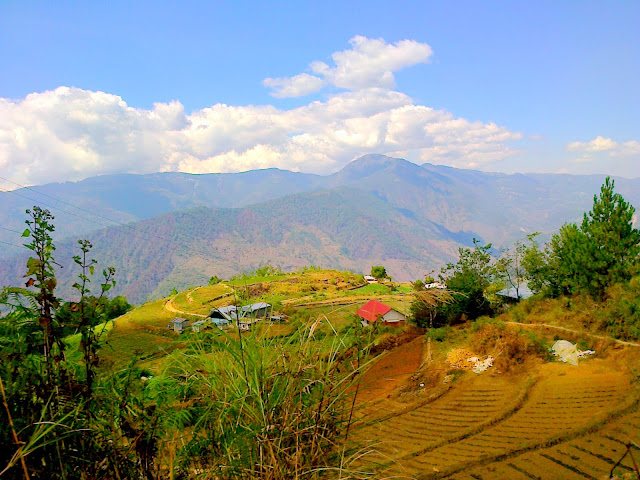 Mt. Pulag