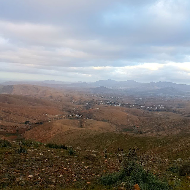 La Oliva, fuerte ventura mirador