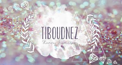 Tiboudnez