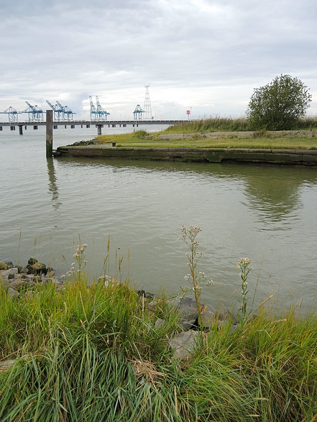 Lillo: een polderdorpken in de haven