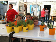 Entregant plantes aromàtiques de record