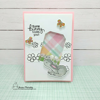 Some Bunny | a card by Diane Morales | Bitty Bunnies Stamp Set by Newton Nook Designs