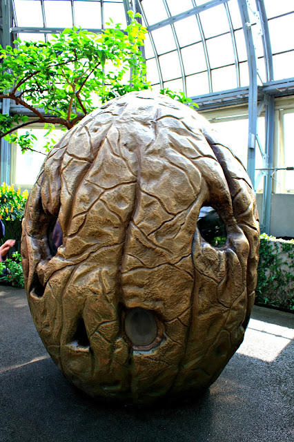 Kids' area Garfield Park Conservatory.