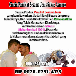 Cincin Sesama Jenis Sekar Asmoro