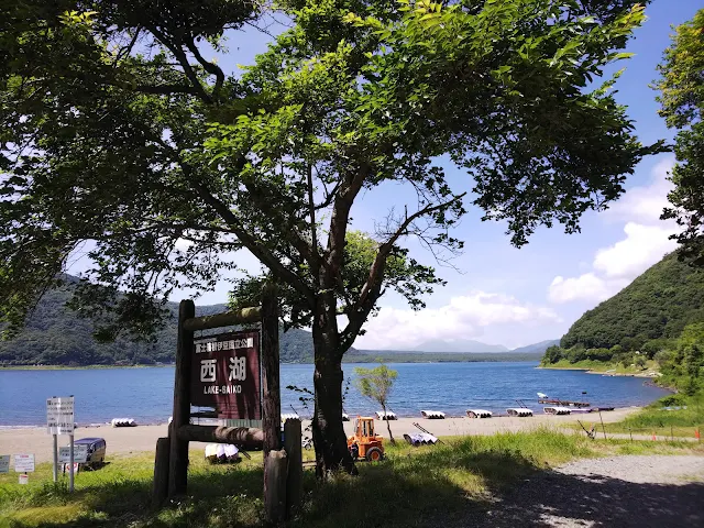 西湖　湖北ビューライン