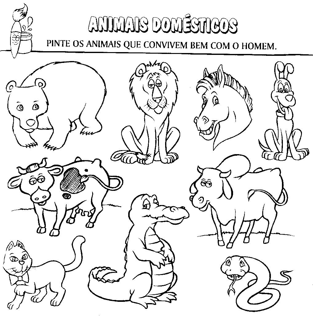imagens de animais para colorir