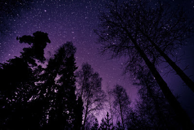 Night Photography Nature