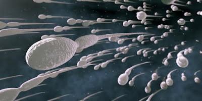 Apa Bahayanya Menelan Sperma Pria