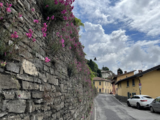 Snapdragons grow on a wall along Via San Vigilio, in Bergamo.