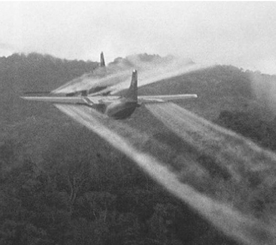 Agent Orange