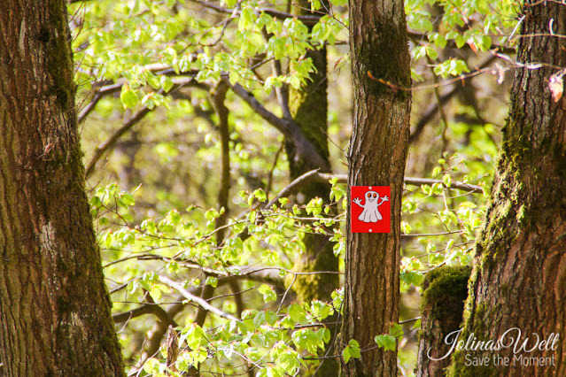 Findet Lemi in rot