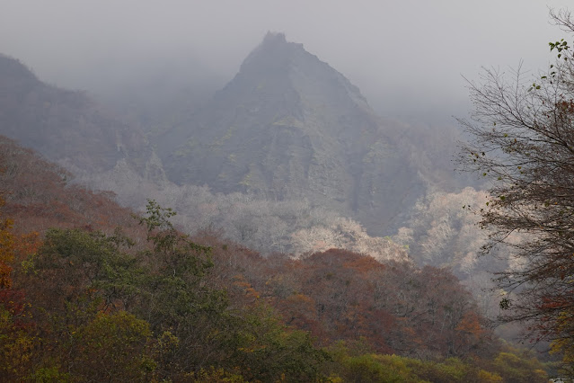 鳥取県道45号倉吉江府溝口線（大山環状道路）　二の沢からの眺望