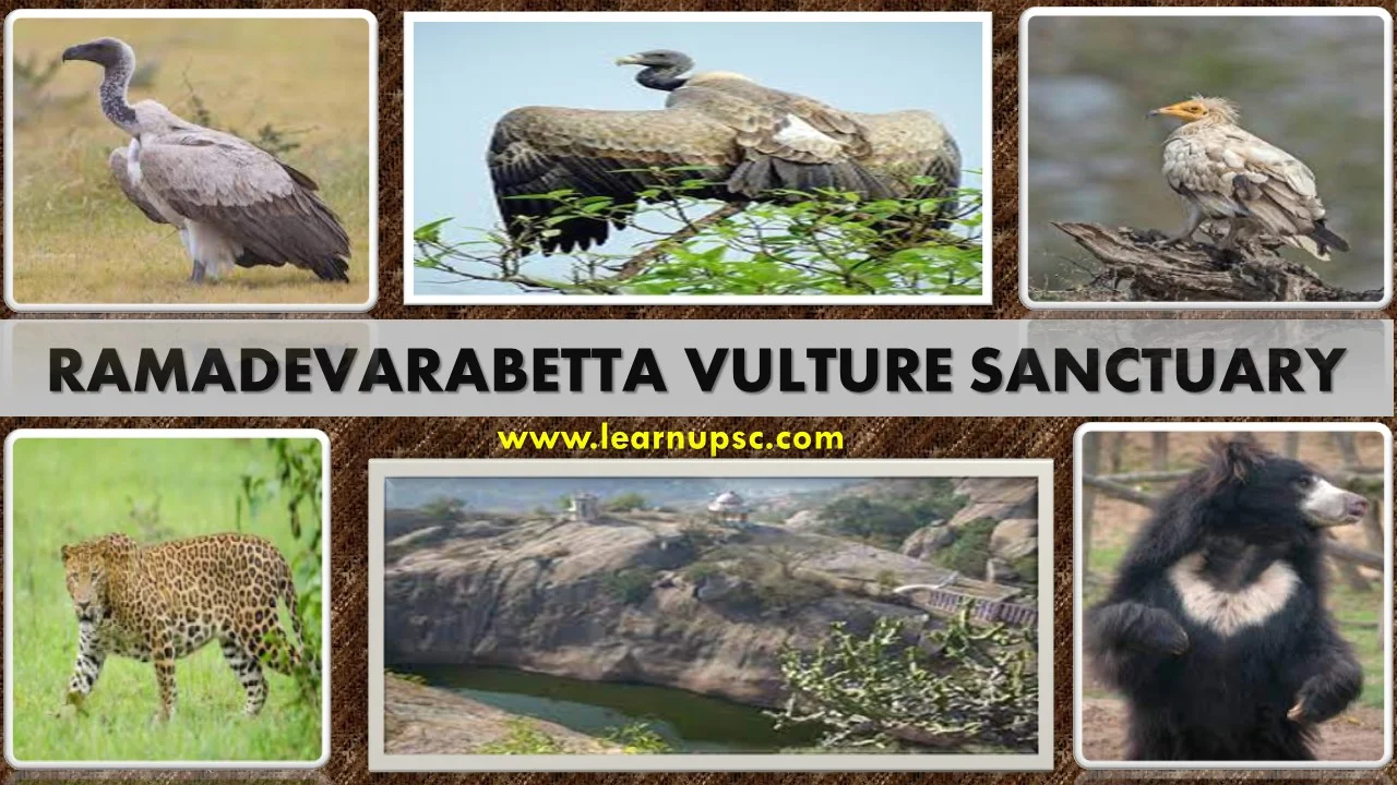 Ramadevarabetta Vulture Sanctuary