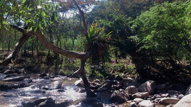 Patzcuarito, .... lugar donde casi no llega gente