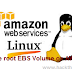 How to Resize root EBS Volume on AWS Linux Instance